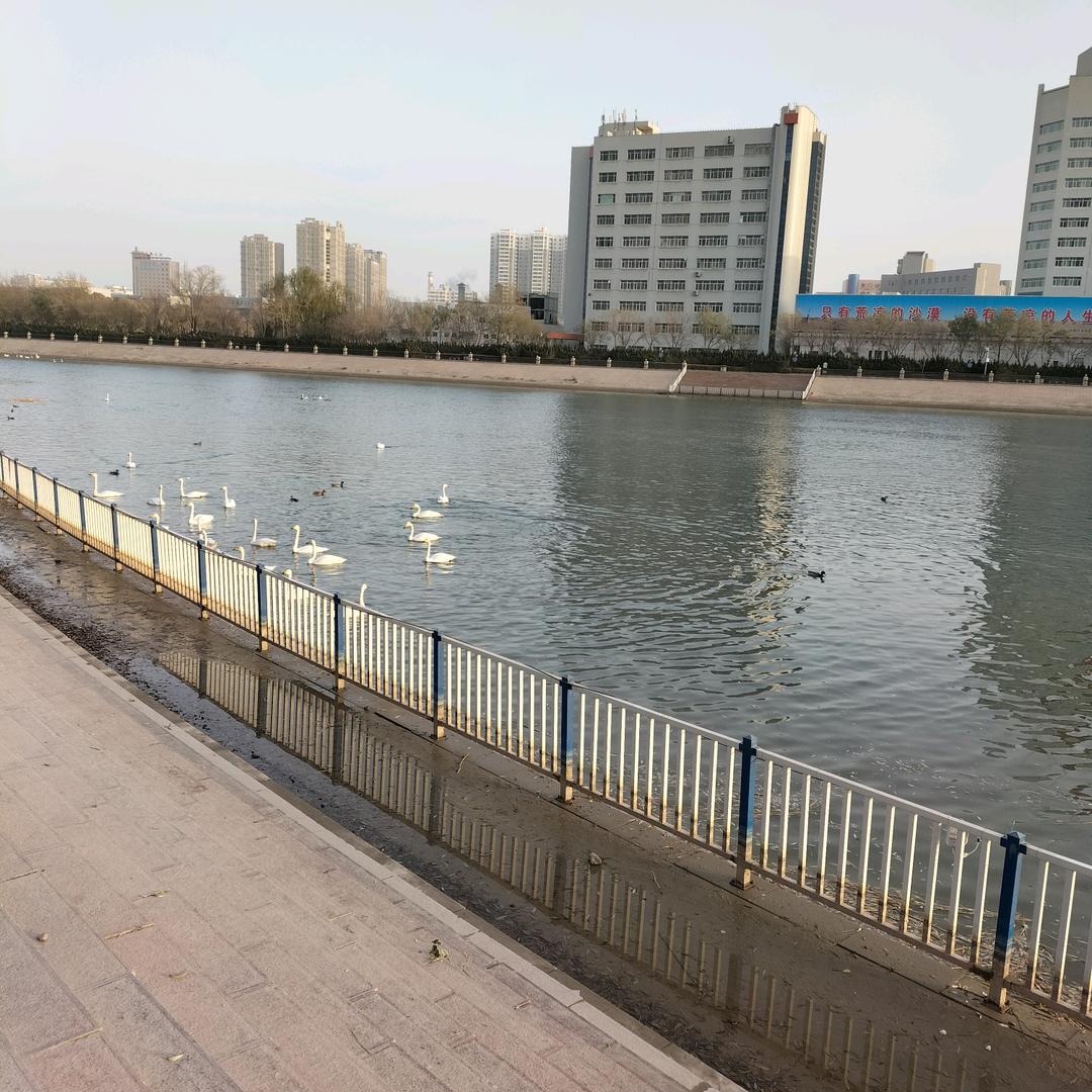 用户9143870562693