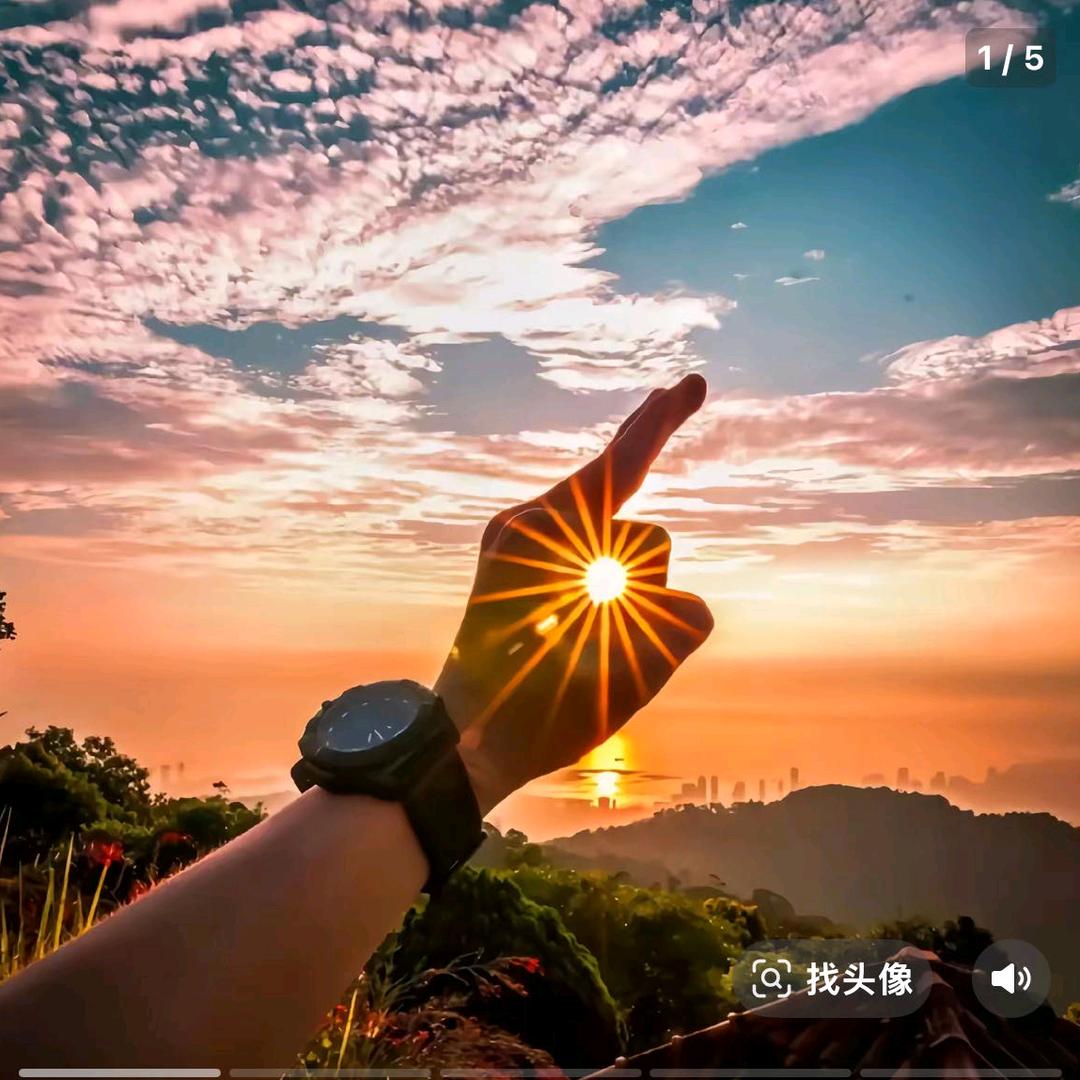 月月 养护