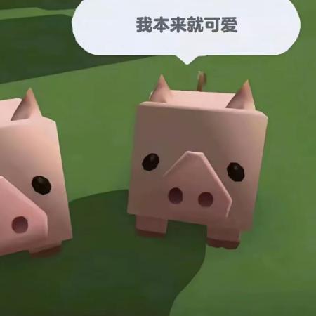 书神道【卡文】路径