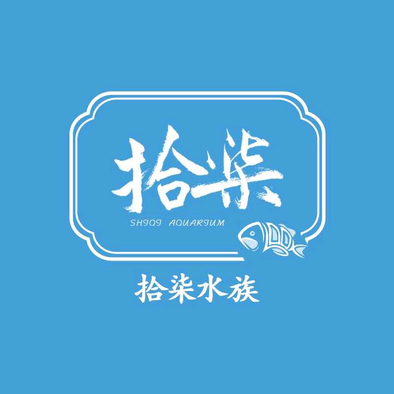 拾柒水族