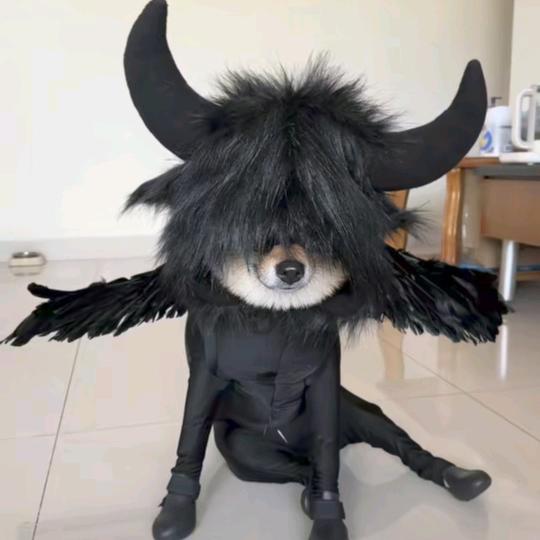 沐