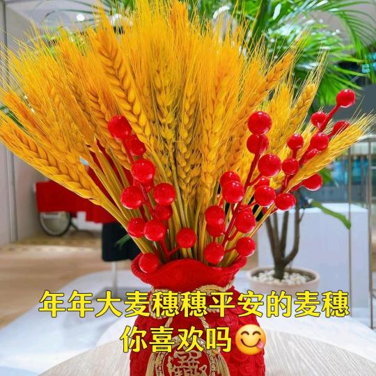 一起走过风风雨雨