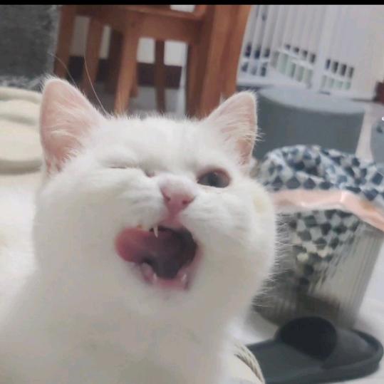 清醒的人最荒唐、