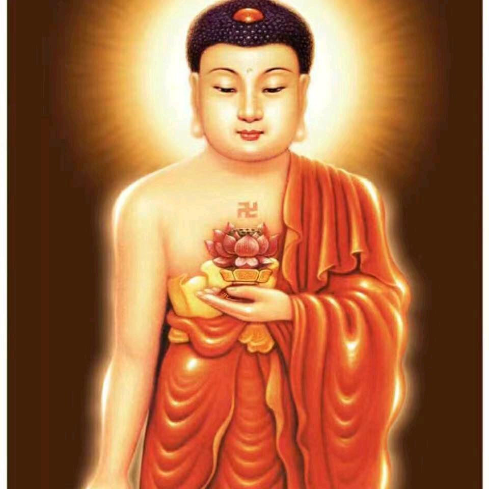 我想有个家