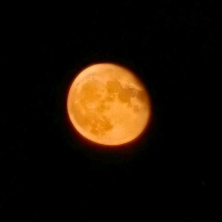望夜