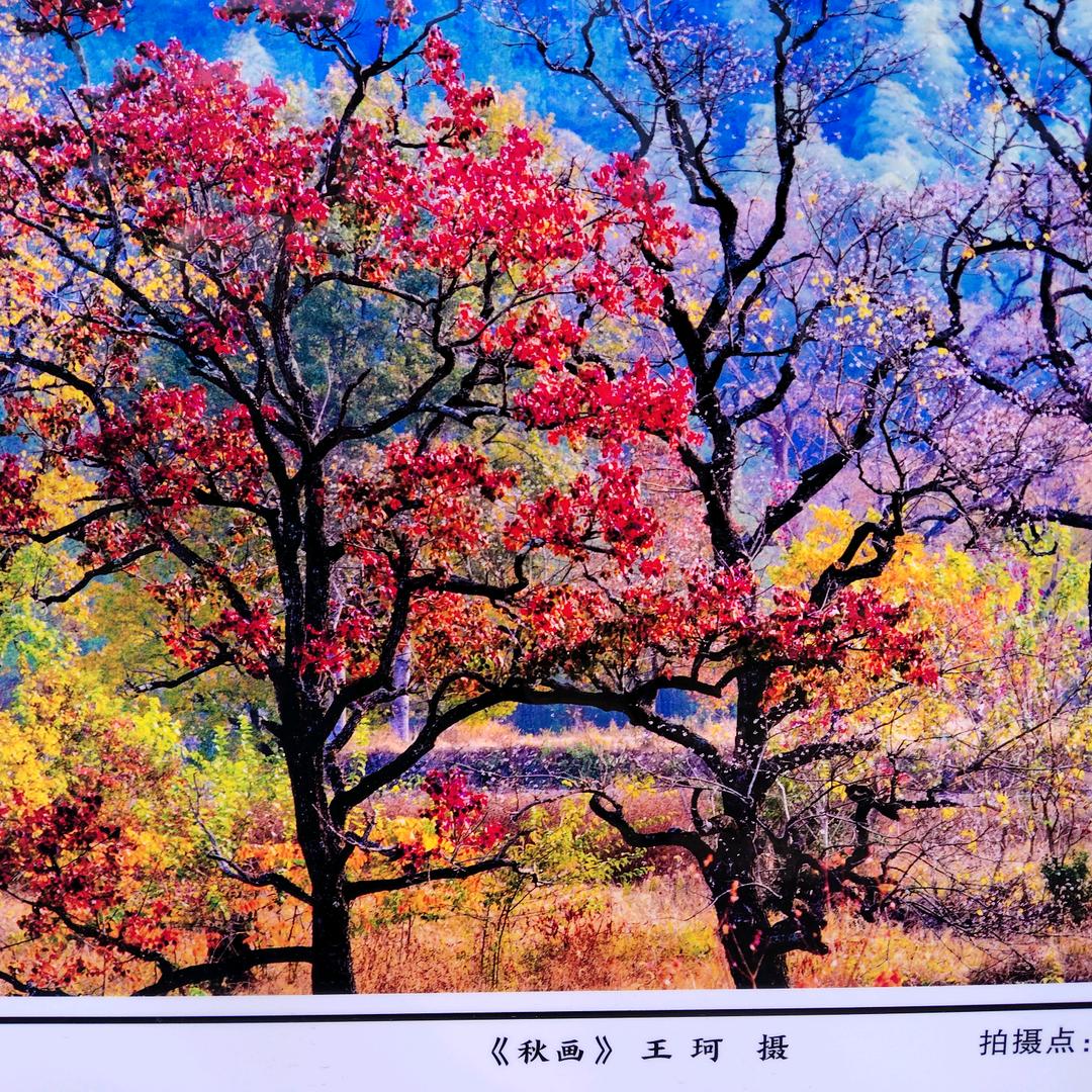罗田专业搬家