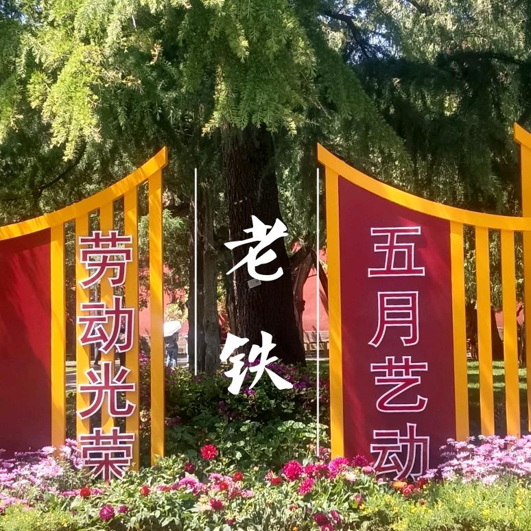 阳光下的老铁