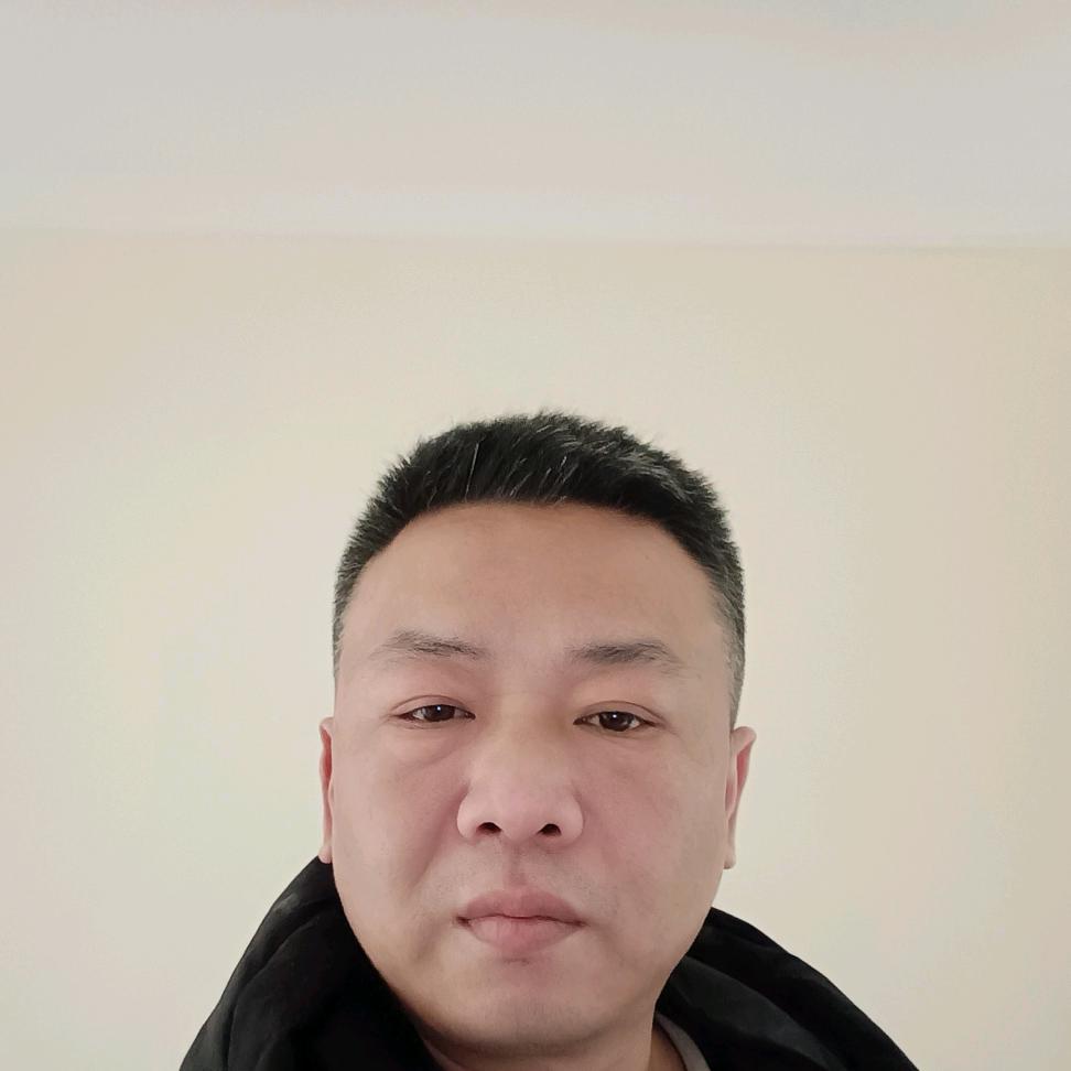 偷鱼的猫