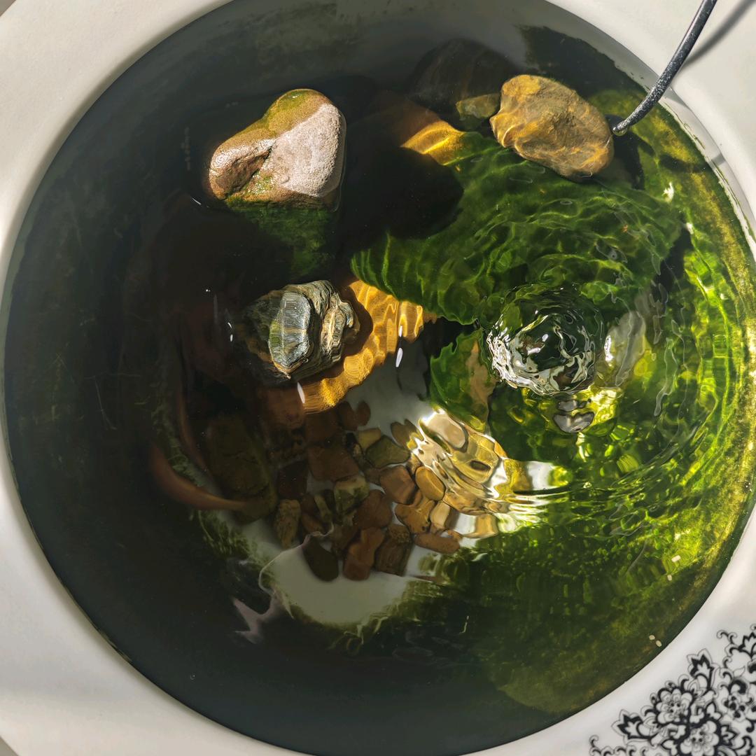 育育～