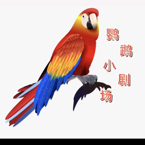 鹦鹉小剧场