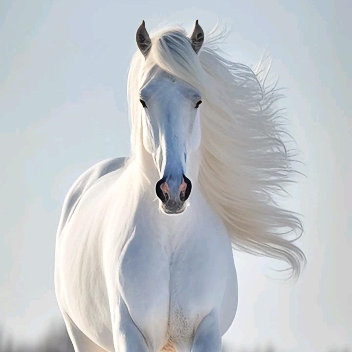 一生何求