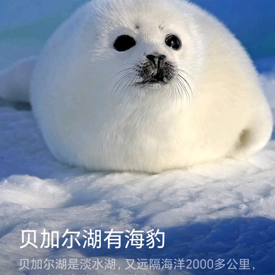 雨宝妈
