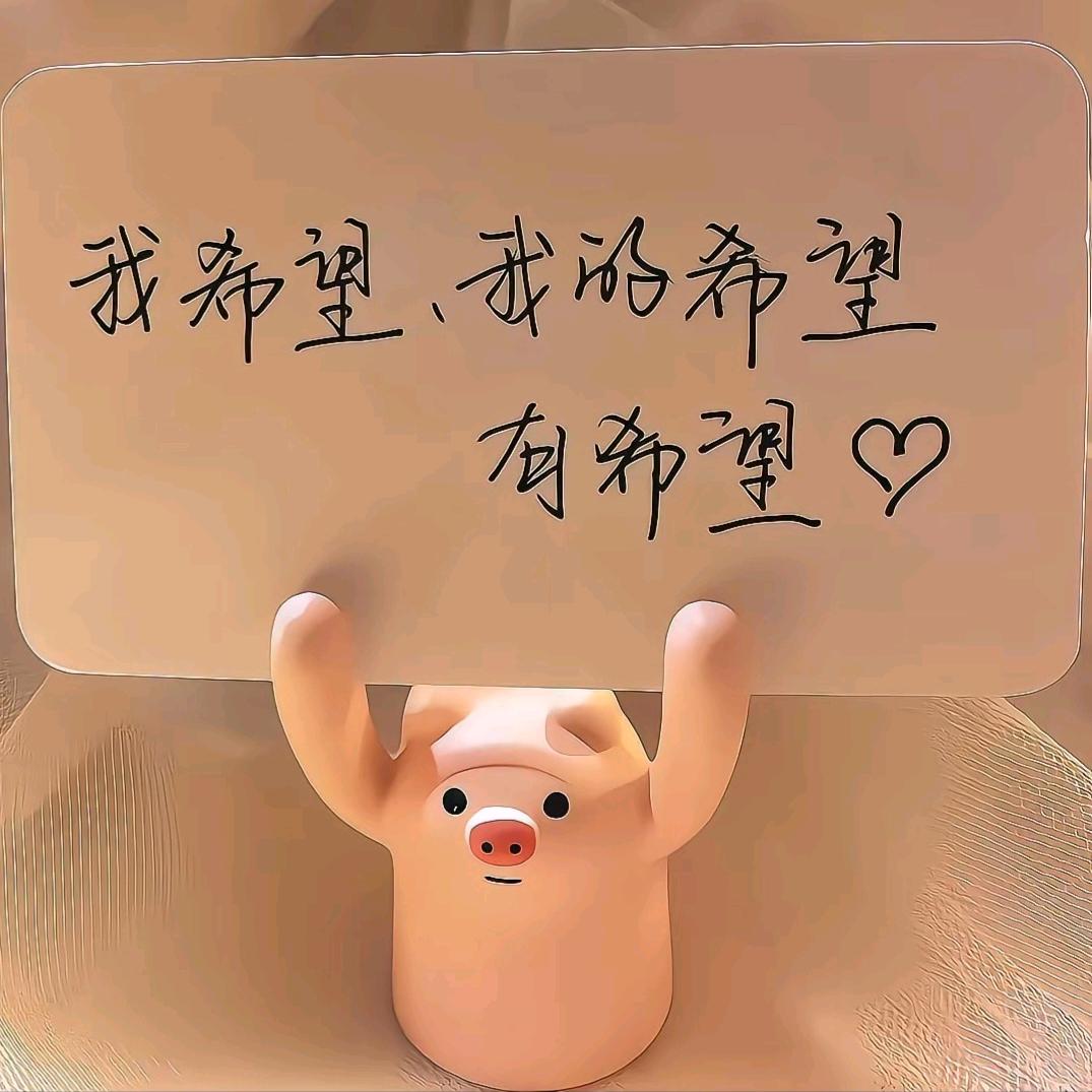 鑫裕腾玉米芯粉