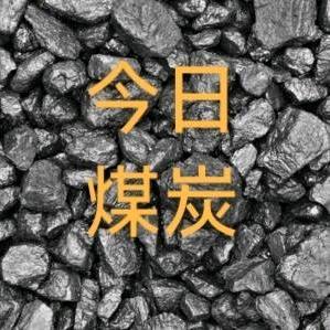 今日煤炭行情