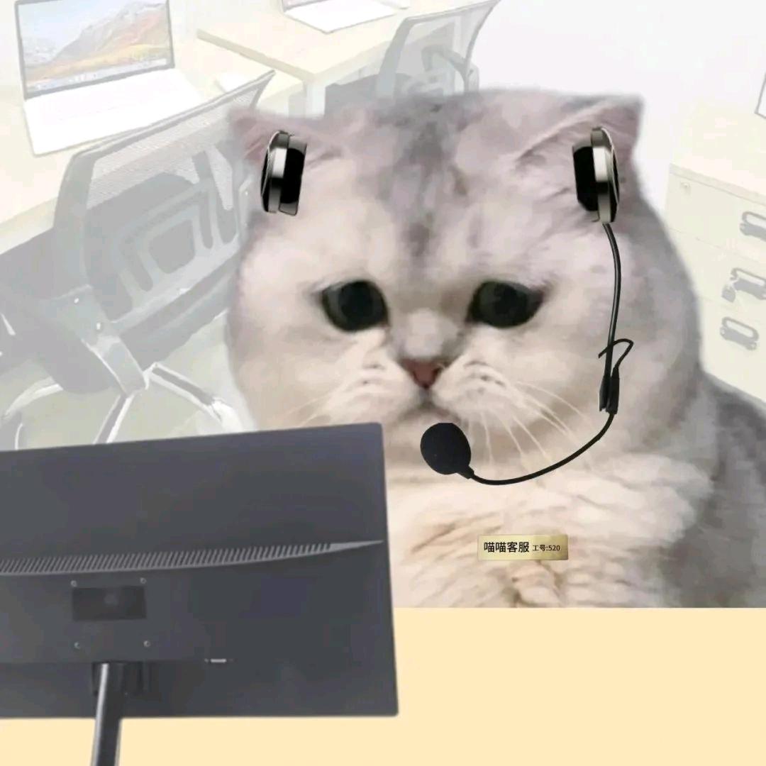 透