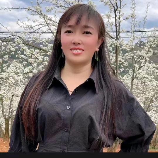 小飞专修发动机