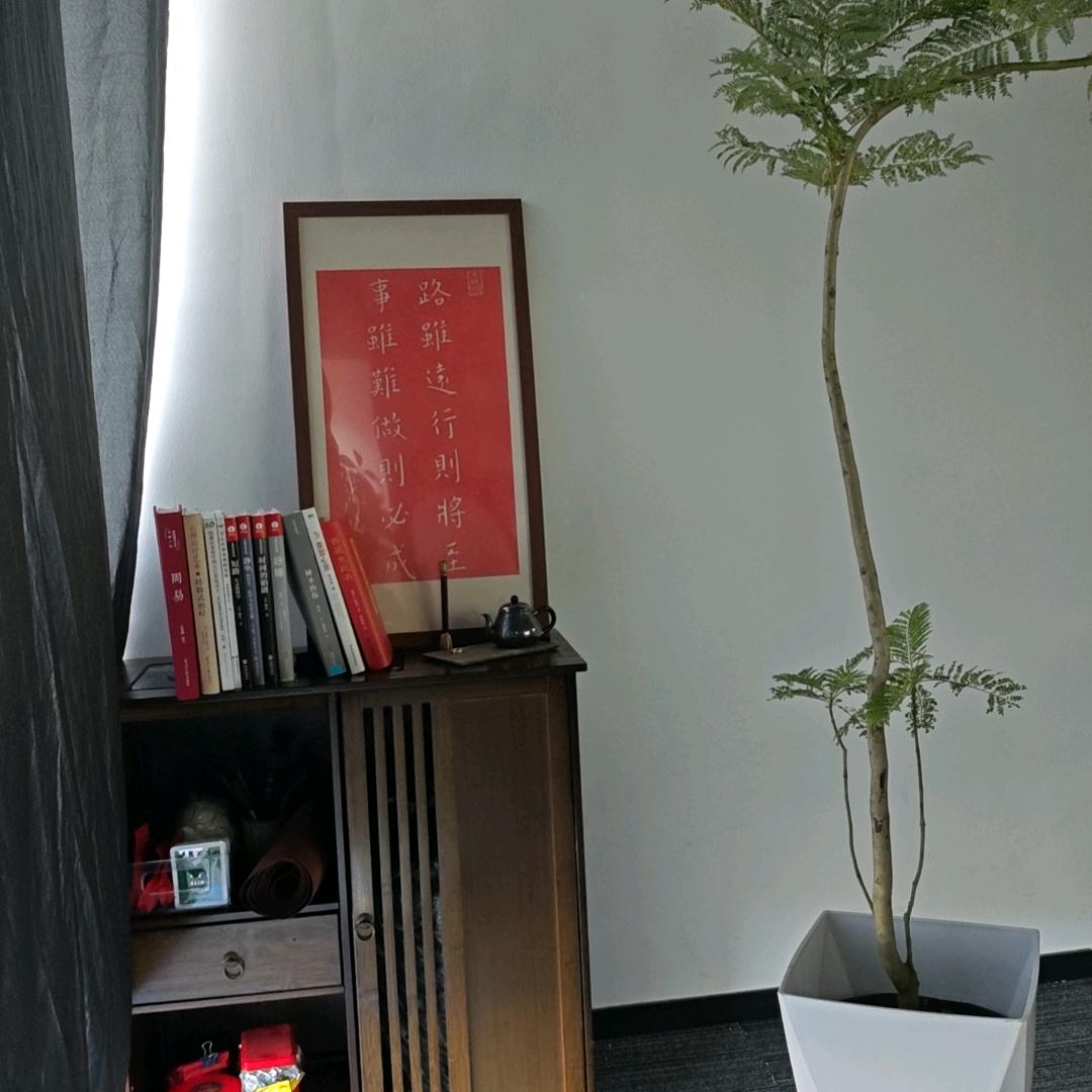 非瘦不可🔥星儿