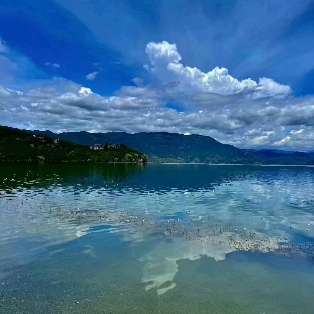 鑫新暴富吖