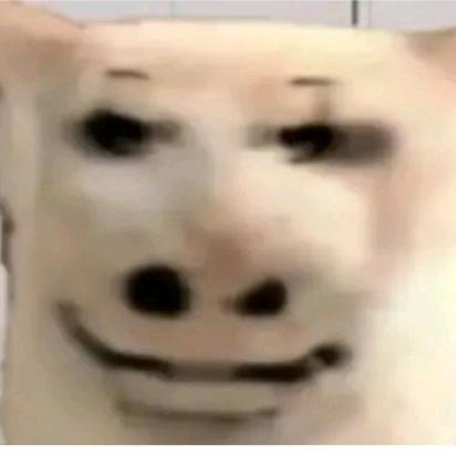 巴巴博一