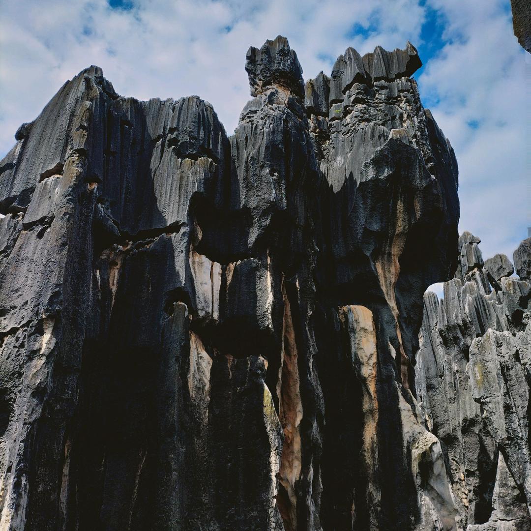 东山在起