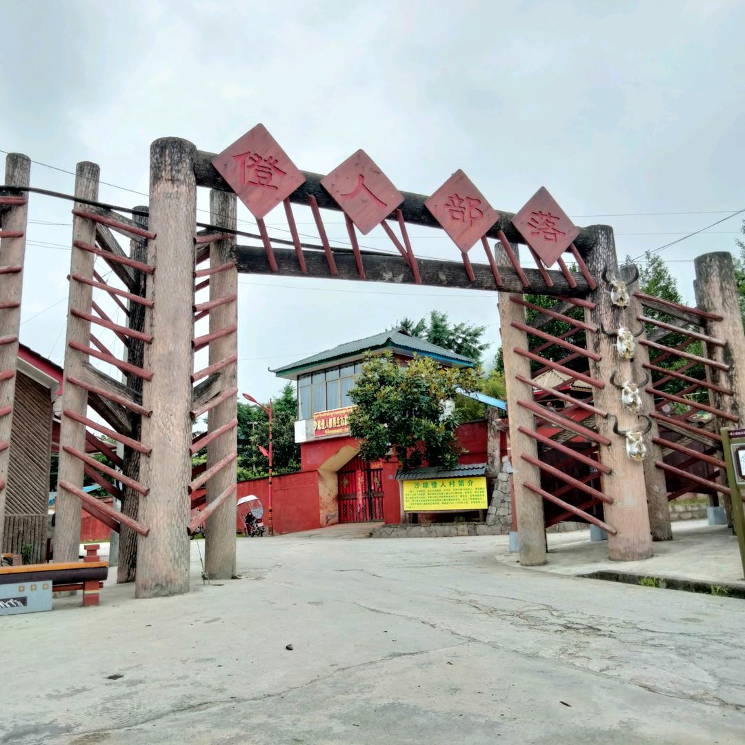 西藏察隅有机茶