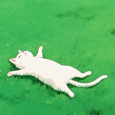 🍃胖仙儿 （关必回）🪳