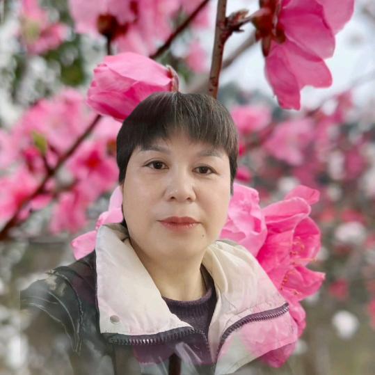 宁强李氏麻辣鸡