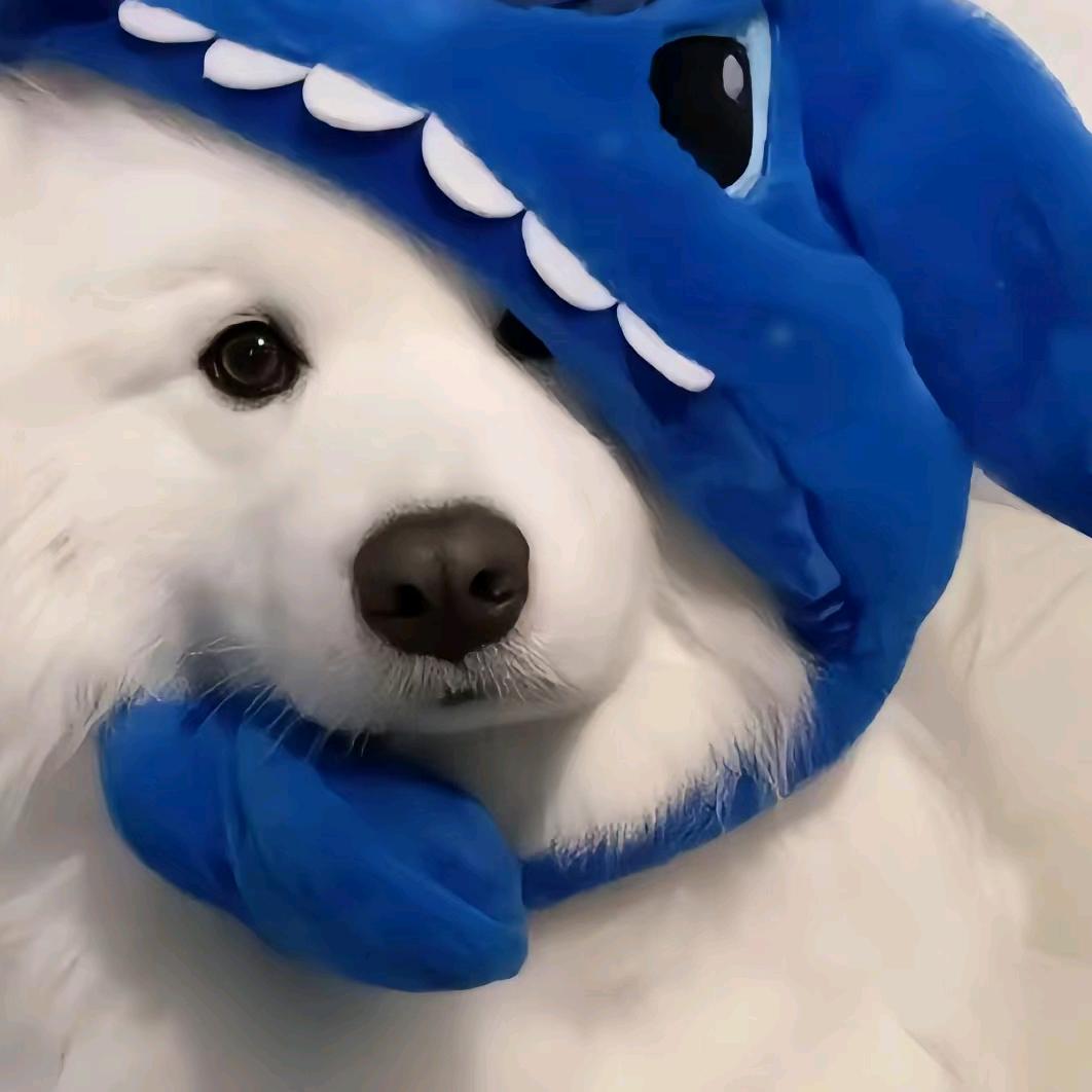 清澜
