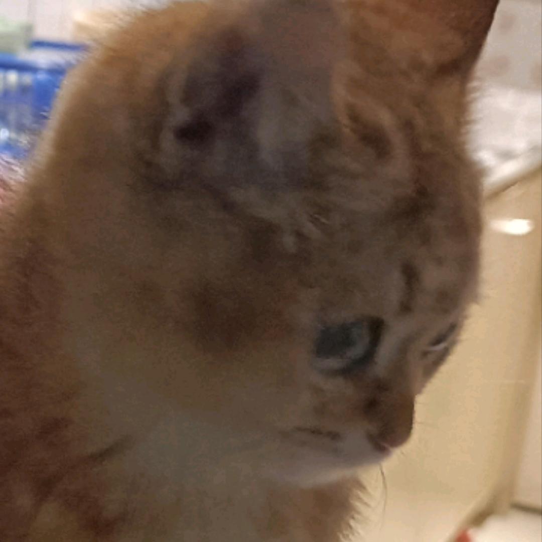 网友小y