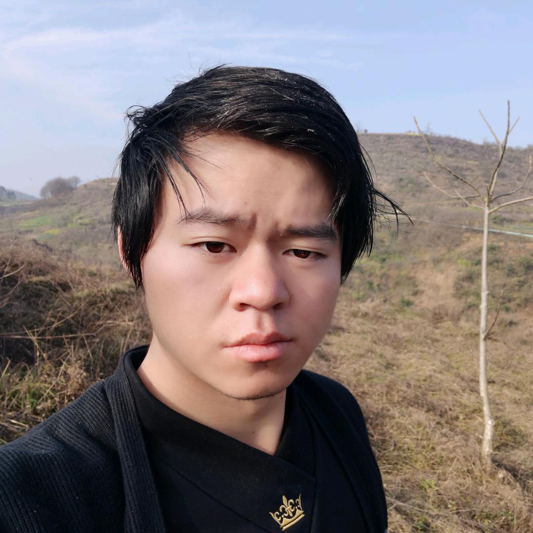 爱唱歌的武林