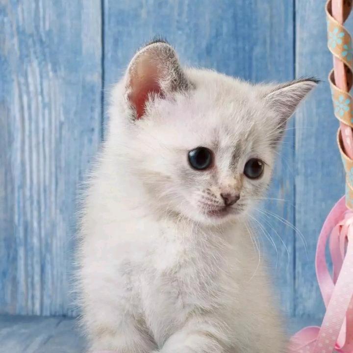 🌈✨音为遇见你🌈✨