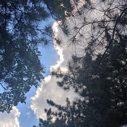 像风一样自由、