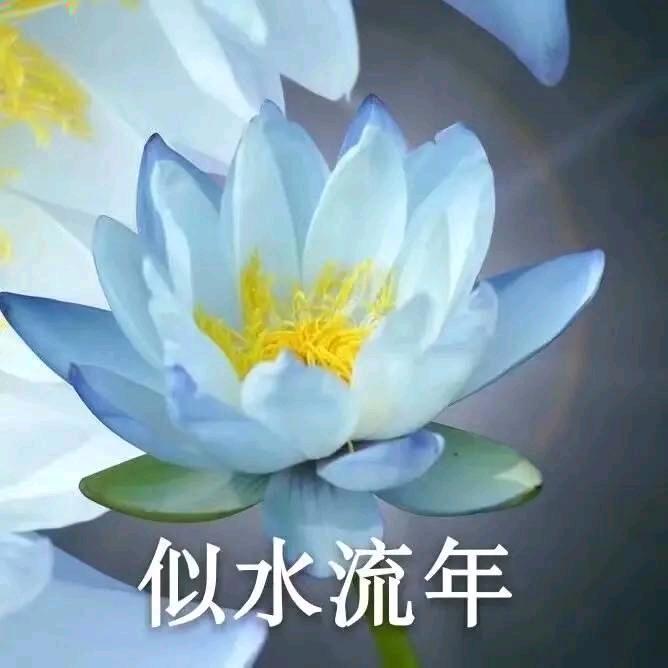 岁月静好啊