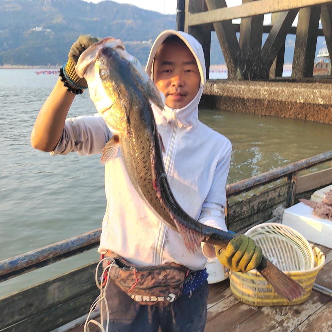 三宝赶海
