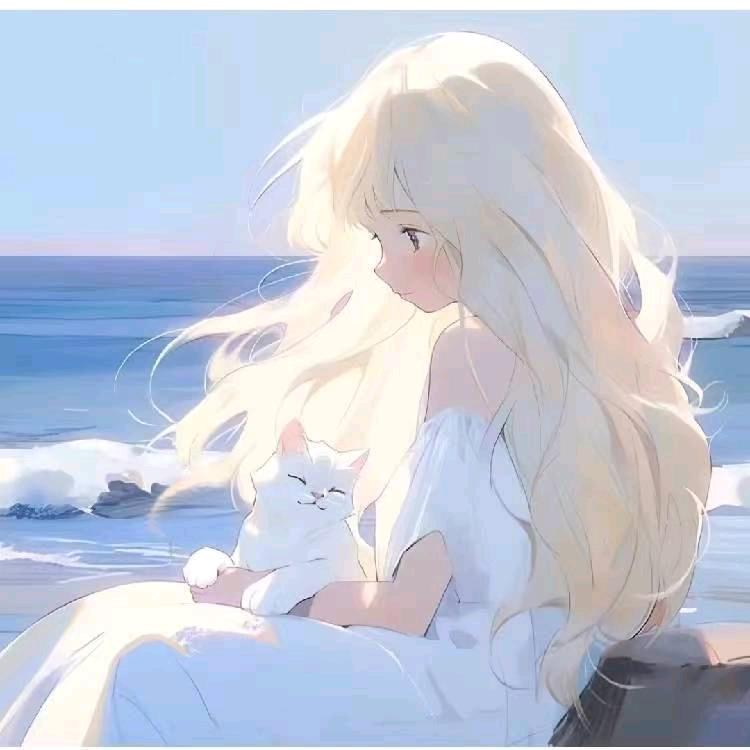 __静宝