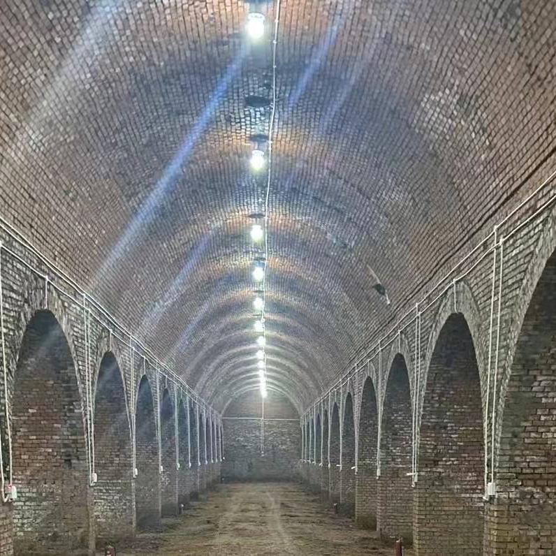 专业套窑洞虎子