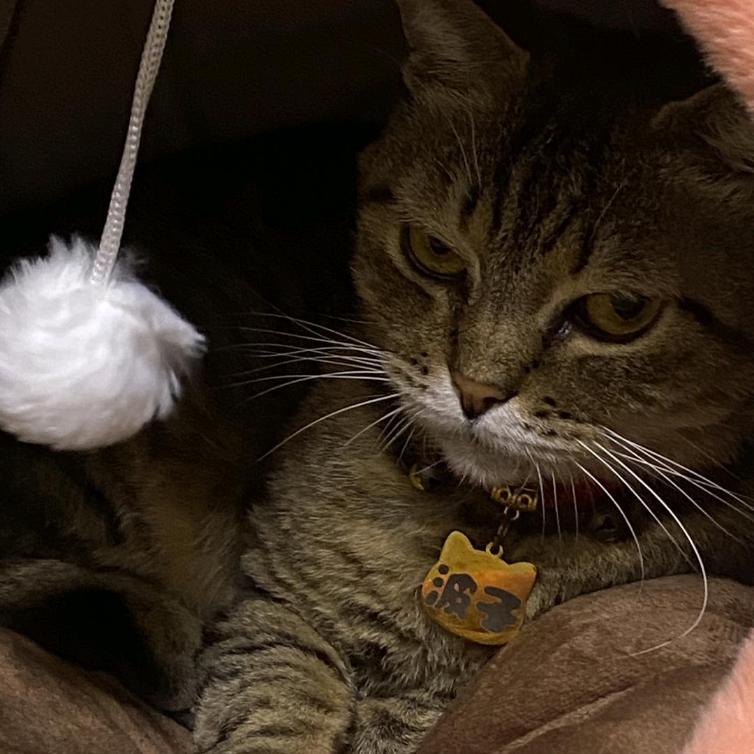 💫天使與魔鬼💫