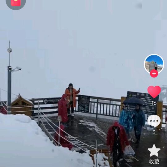 月生有你
