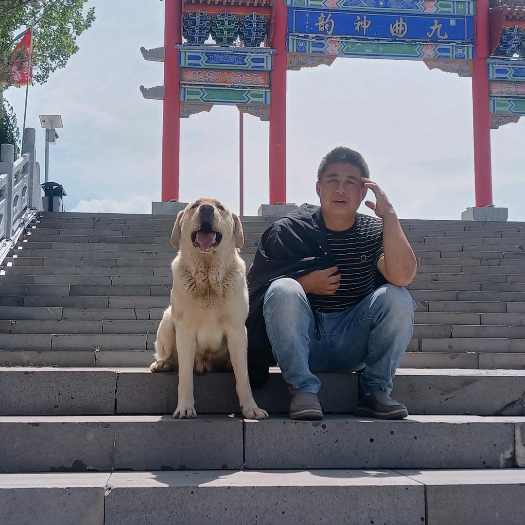 二毛毛