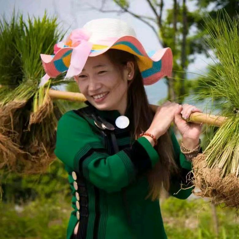 🍀夏未凉🍀