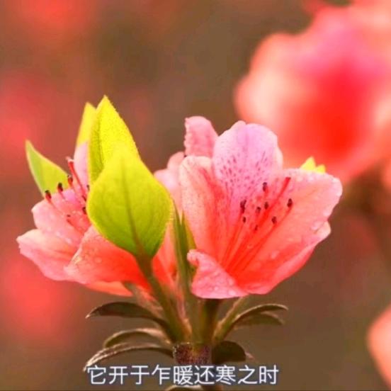 云飞扬