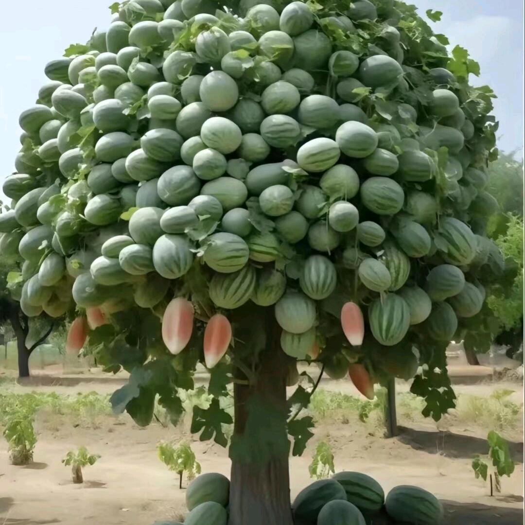 笑口常开