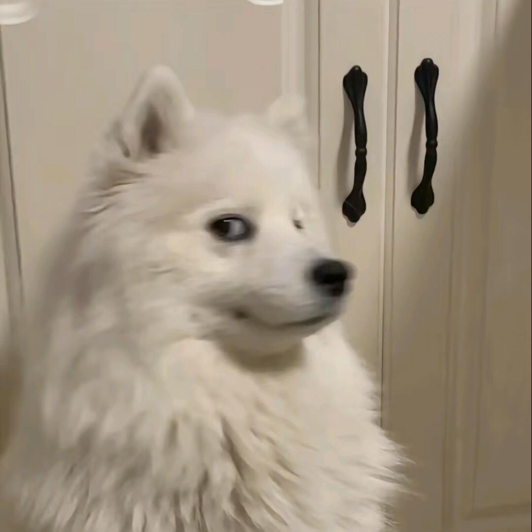 靳瀛