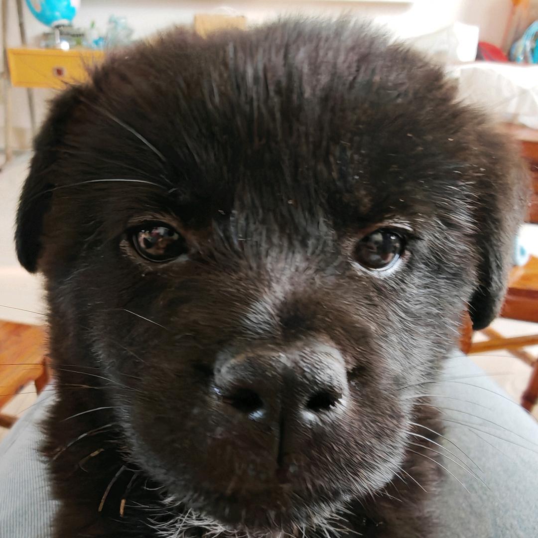 AAA精品纯棉裤衩批发免费上门安装