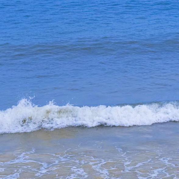 吴海洋🏖️