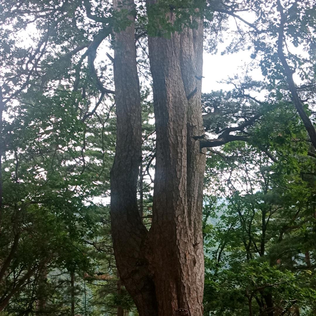 问心无愧
