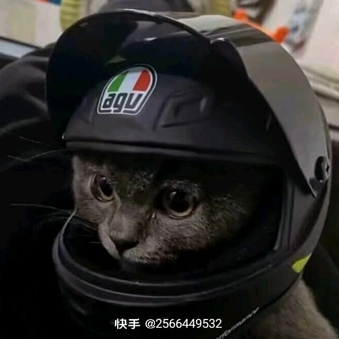 夜空中最亮的星