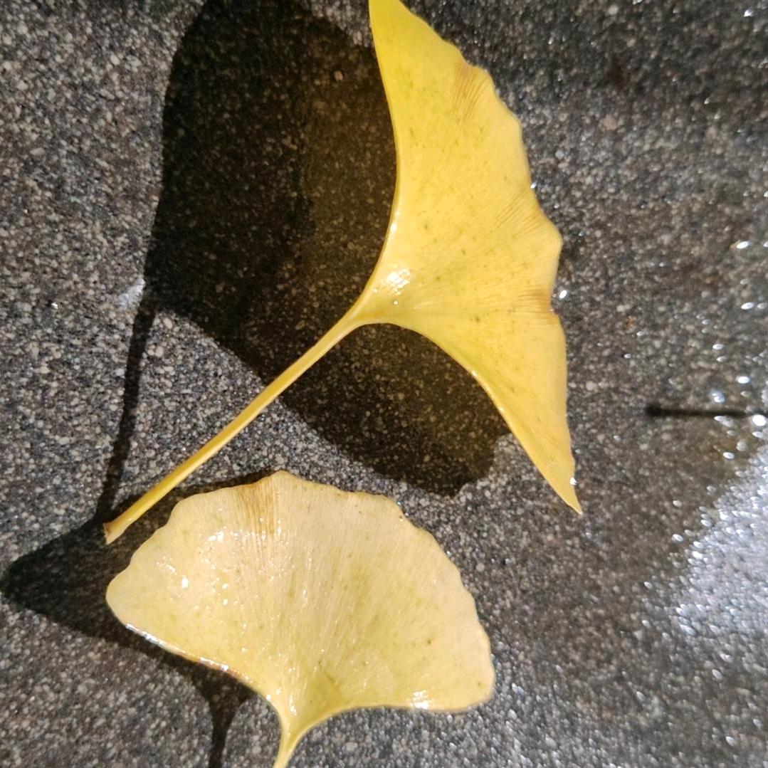 徽县特色烧烤餐厅