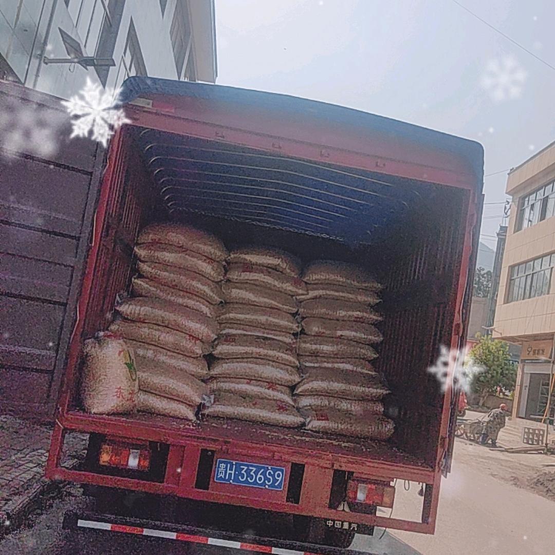 平平淡淡过一生