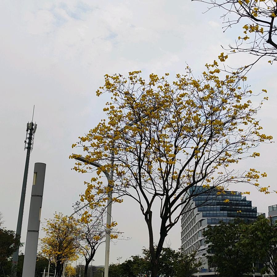 佛说